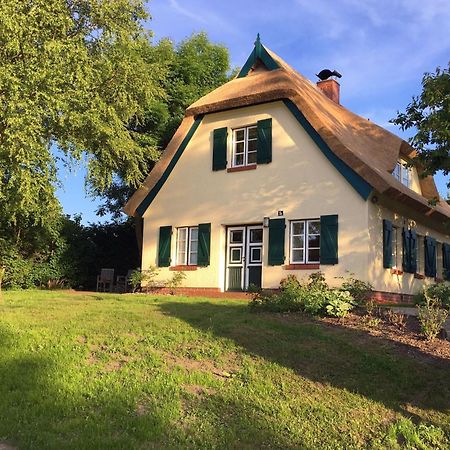 Ferienhaus Preetz 1A - Idylle Unter Reet Burtevitz Exterior photo